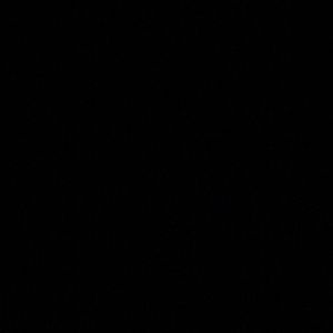 Meet your Posher, Hector